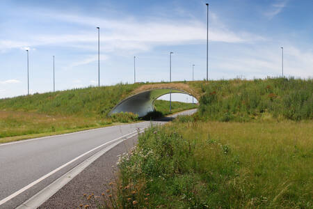Tunnel bij Eindhoven